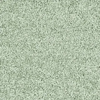 Vorwerk Teppichboden Conzano 4J29 grün – Teppichboden in frischem Grünton für natürliche Wohnräume, Meterware in 4 oder 5 m Breite, nur 53,91 €